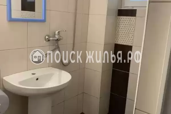 «Виноградная лоза»