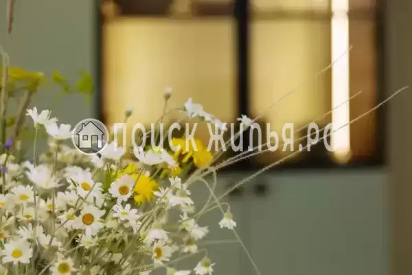 Апартаменты «Мятный уют» Апартаменты «Мятный уют»