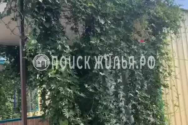 Частный сектор «Комплекс бунгало Быть добру» Частный сектор «Комплекс бунгало Быть добру»