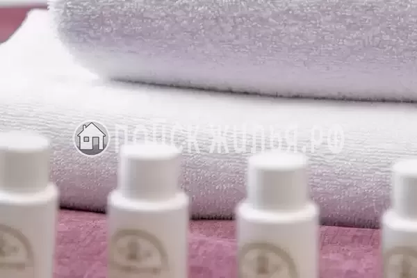 Отель «Чайковский» Отель «Чайковский»