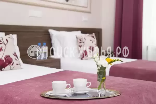 Отель «Чайковский» Отель «Чайковский»