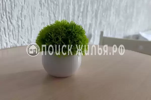 Отель «Грин Грейп SyncotelHome»