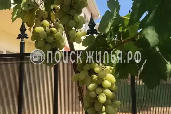 Частный сектор «Комната под ключ»