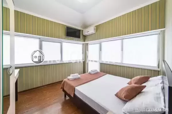 «GEO&MARI» «GEO&MARI»