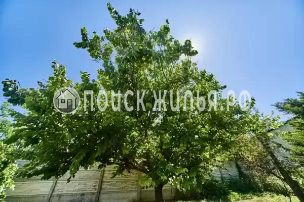 Частный сектор «Дом с садом»