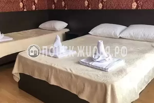 «Каникулы»