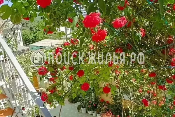 Зерновская, д.13 Зерновская, д.13