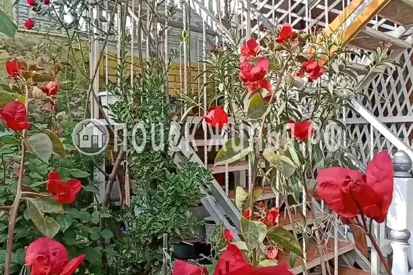 Зерновская, д.13 Зерновская, д.13