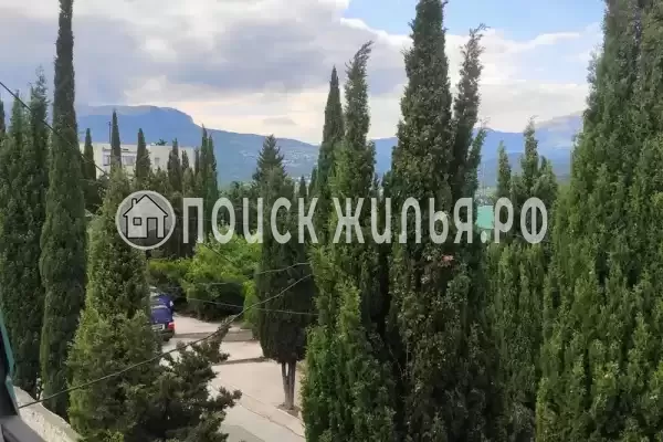 «Шарлин» «Шарлин»