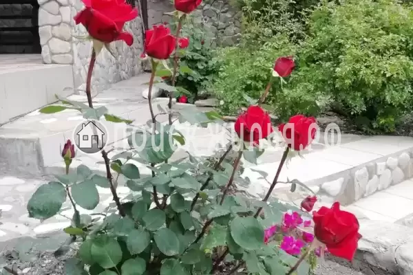 Частный сектор «Фортуна»