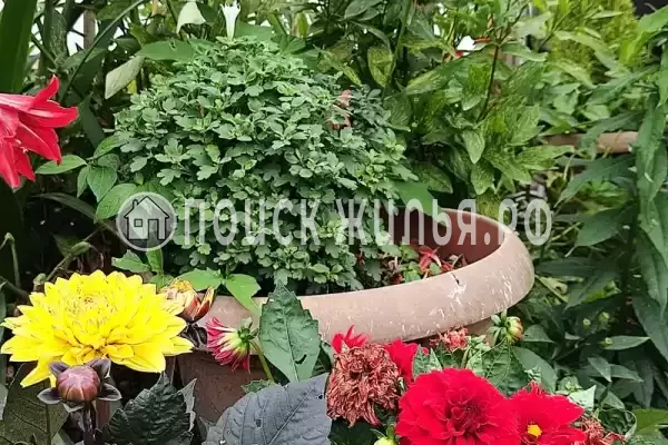 Гостевой дом «Бригантина»