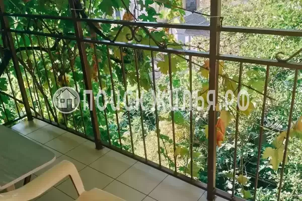 «Hot-Alushta» «Hot-Alushta»