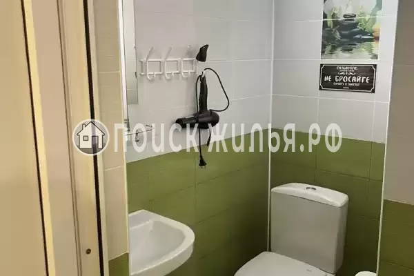 «Верные друзья»