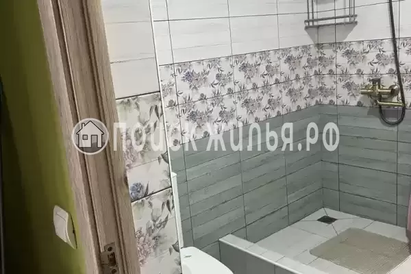 «Верные друзья»