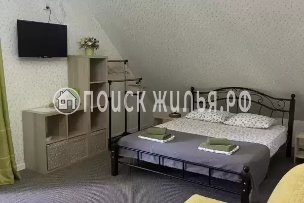 «Верные друзья»