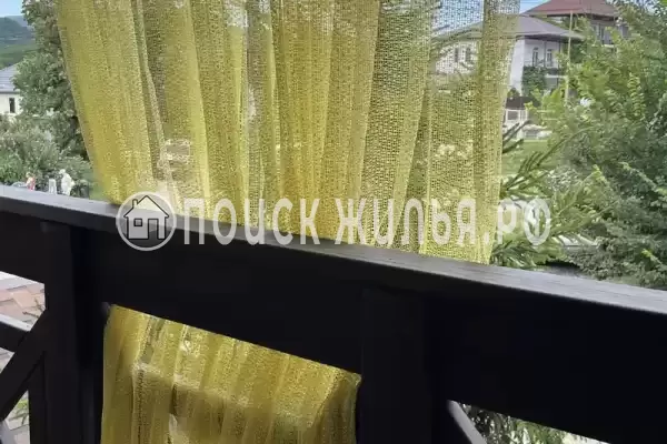 «Верные друзья»