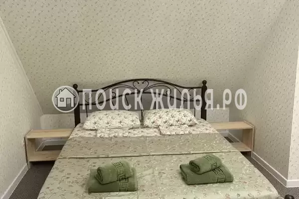 «Верные друзья»