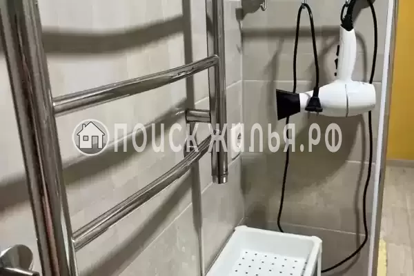 «Верные друзья»