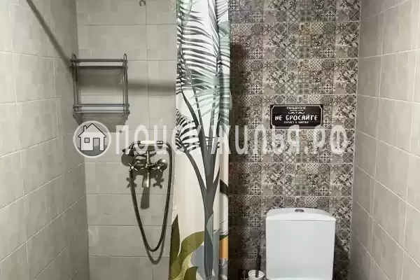 «Верные друзья»