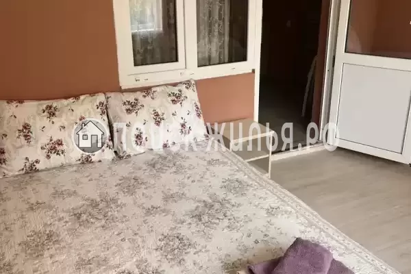 «Верные друзья»