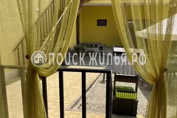 «Верные друзья»