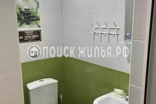 «Верные друзья»