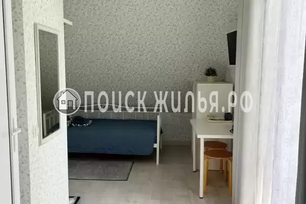 «Верные друзья»