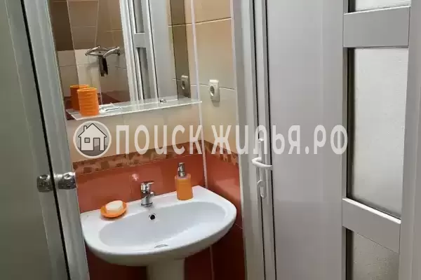 «Верные друзья»