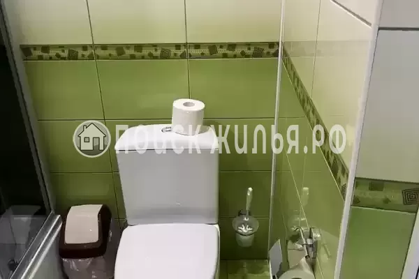 «Верные друзья»