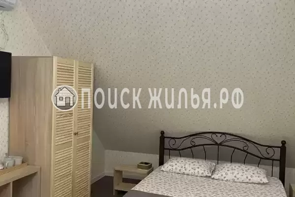 «Верные друзья»