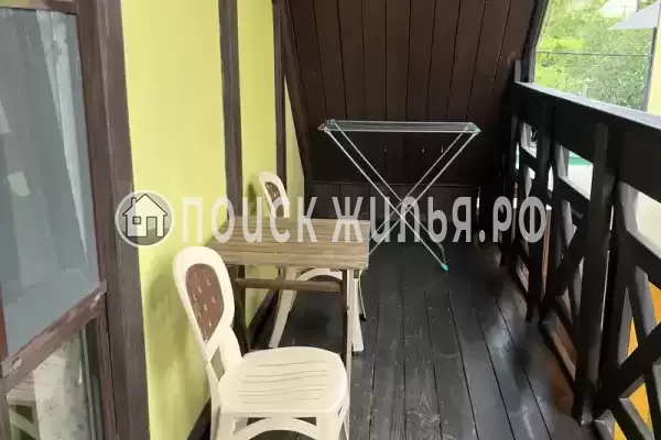 «Верные друзья»