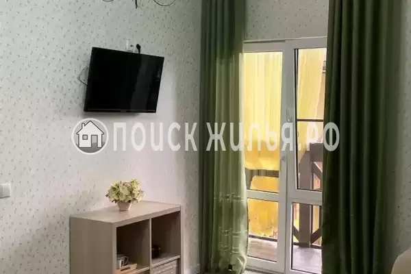 «Верные друзья»