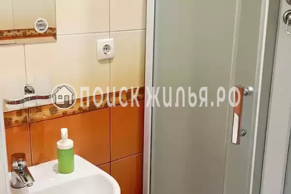 «Верные друзья»