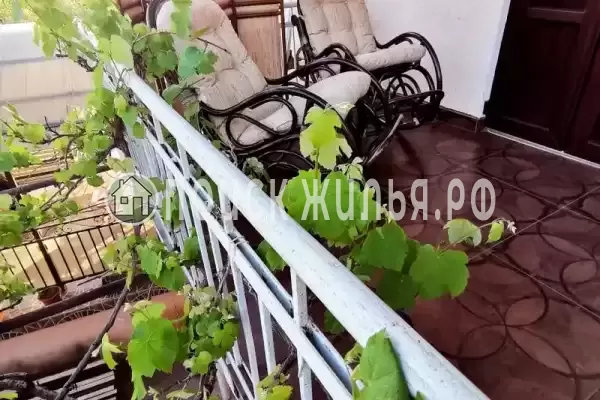 Гостевой дом «Лоза»