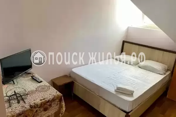 «Киви» «Киви»