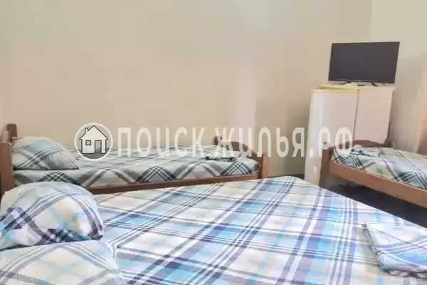 «Киви» «Киви»