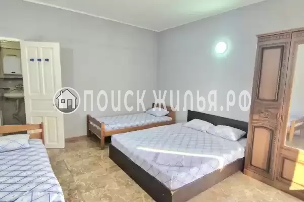 «Киви» «Киви»