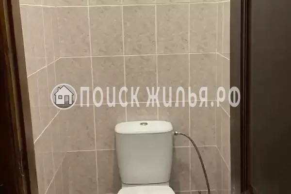 «Киви» «Киви»