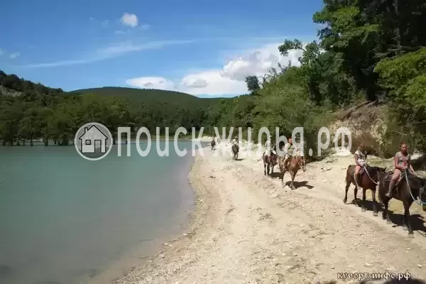Квартира «2-комнатная в курортном поселке» Квартира «2-комнатная в курортном поселке»