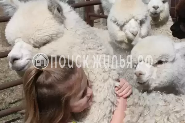 Квартира «2-комнатная в курортном поселке» Квартира «2-комнатная в курортном поселке»