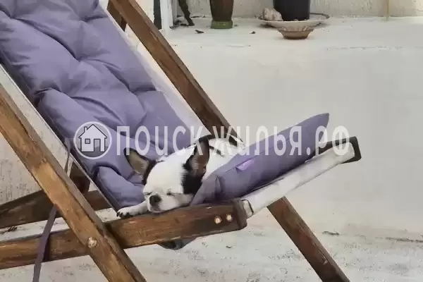Дом под ключ «С бассейном»