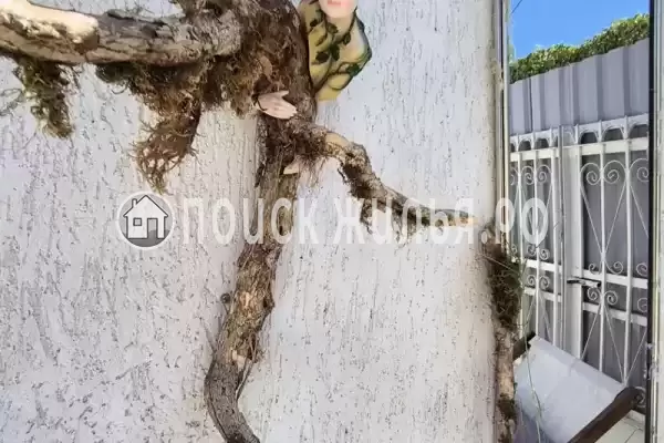 Дом под ключ «С бассейном»