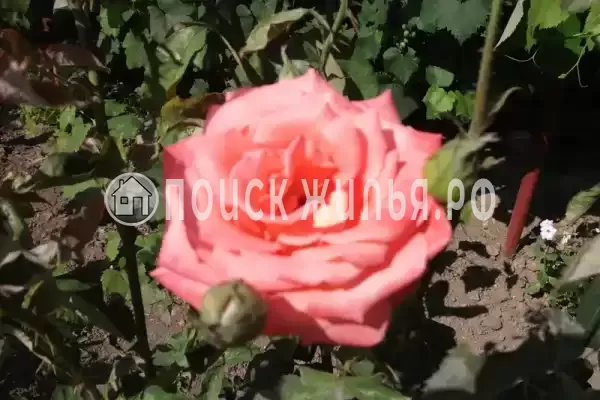 Частный сектор, Калинина, д.237