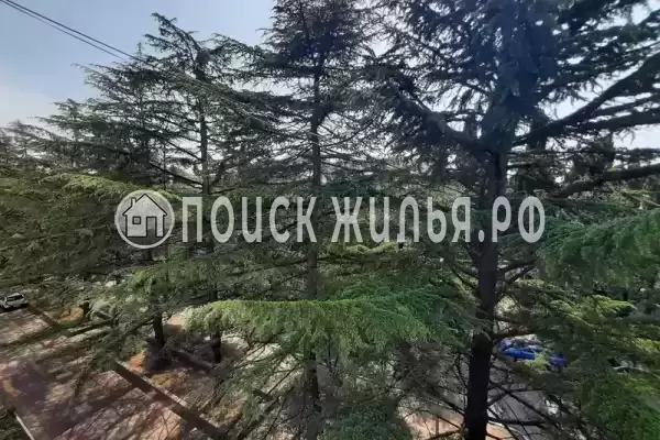 Квартира «2-комнатная»