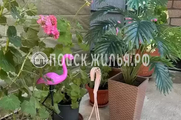 Дом под ключ «Райский уголок»