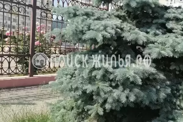 Частный сектор «Корал Хаус»
