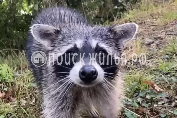 Частный сектор «Дом на скале»