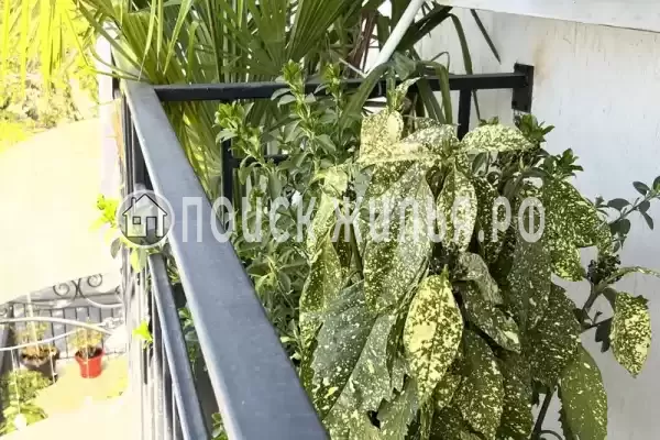 Отель «Сухум авеню»