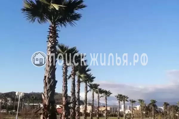 Частный сектор «Апартаменты в Сириусе» Частный сектор «Апартаменты в Сириусе»