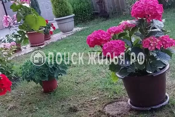 Частный сектор «Апартаменты Анна»